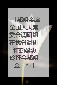 郝明金率全国人大常委会调研组在我省调研 许勤梁惠玲拜会郝明金一行