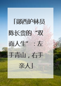 郧西护林员陈长贵的“双面人生”：左手青山，右手亲人