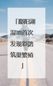 鄱阳湖湿地首次发现彩鹮筑巢繁殖