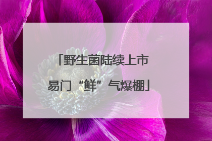 野生菌陆续上市 易门“鲜”气爆棚