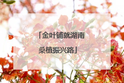 金叶铺就湖南桑植振兴路