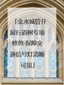金水城管开展行道树专项修剪 保障交通信号灯清晰可见