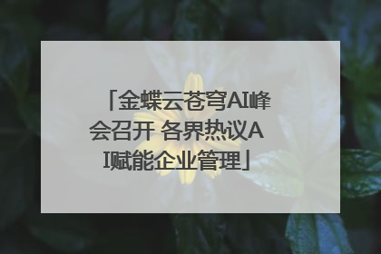 金蝶云苍穹AI峰会召开 各界热议AI赋能企业管理