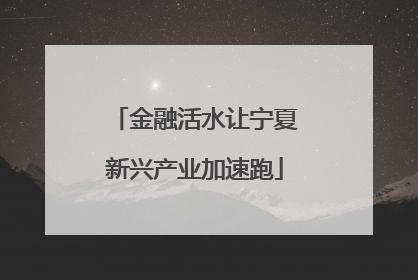 金融活水让宁夏新兴产业加速跑