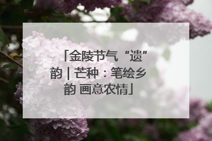 金陵节气“遗”韵｜芒种：笔绘乡韵 画意农情