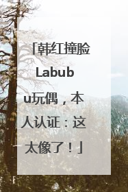 韩红撞脸Labubu玩偶，本人认证：这太像了！