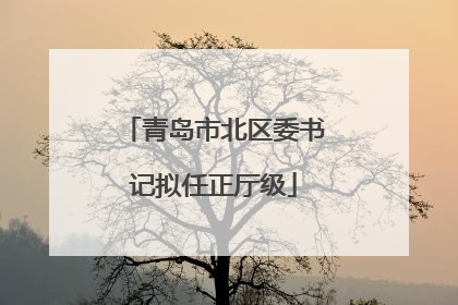 青岛市北区委书记拟任正厅级