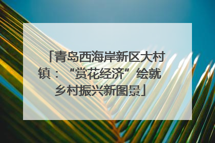 青岛西海岸新区大村镇：“赏花经济”绘就乡村振兴新图景