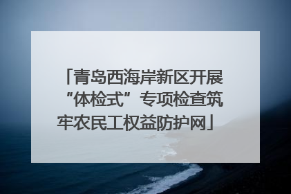 青岛西海岸新区开展“体检式”专项检查筑牢农民工权益防护网