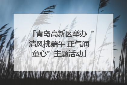 青岛高新区举办“清风拂端午 正气润童心”主题活动