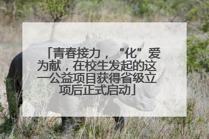 青春接力，“化”爱为献，在校生发起的这一公益项目获得省级立项后正式启动