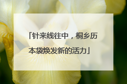 针来线往中，桐乡历本袋焕发新的活力