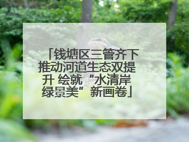 钱塘区三管齐下推动河道生态双提升 绘就“水清岸绿景美”新画卷