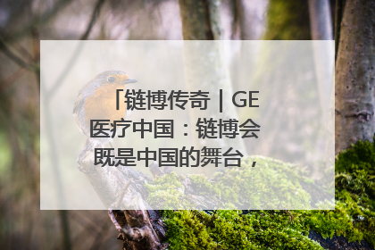 链博传奇｜GE医疗中国：链博会既是中国的舞台，也是世界的橱窗