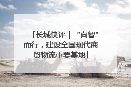 长城快评｜“向智”而行，建设全国现代商贸物流重要基地