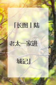 长图丨陆老太一家进城记