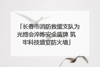长春市消防救援支队为光博会淬炼安全盾牌 筑牢科技盛宴防火墙