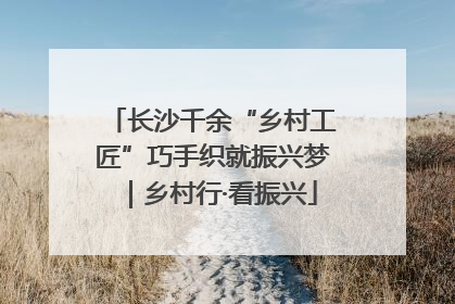 长沙千余“乡村工匠”巧手织就振兴梦｜乡村行·看振兴