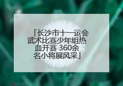 长沙市十一运会武术比赛少年组热血开赛 360余名小将展风采