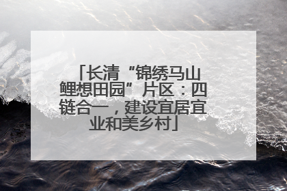 长清“锦绣马山 鲤想田园”片区:四链合一,建设宜居宜业和美乡村