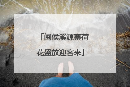 闽侯溪源寨荷花盛放迎客来