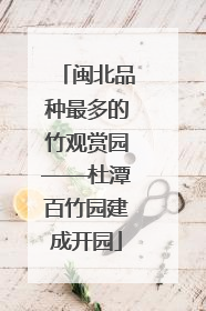 闽北品种最多的竹观赏园——杜潭百竹园建成开园