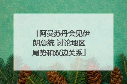 阿曼苏丹会见伊朗总统 讨论地区局势和双边关系
