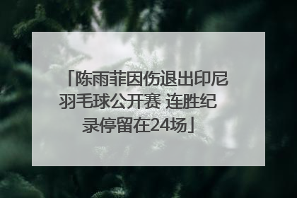 陈雨菲因伤退出印尼羽毛球公开赛 连胜纪录停留在24场