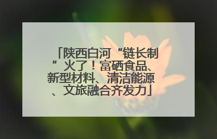 陕西白河“链长制”火了！富硒食品、新型材料、清洁能源、文旅融合齐发力