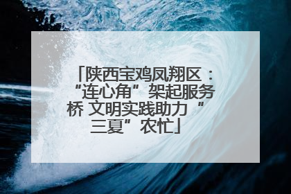 陕西宝鸡凤翔区：“连心角”架起服务桥 文明实践助力“三夏”农忙