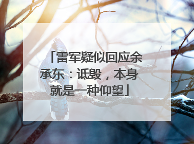 雷军疑似回应余承东：诋毁，本身就是一种仰望