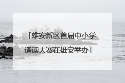 雄安新区首届中小学诵读大赛在雄安举办