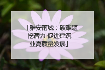 雅安雨城：破难题 挖潜力 促进建筑业高质量发展