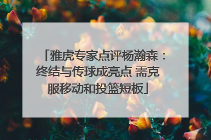 雅虎专家点评杨瀚森：终结与传球成亮点 需克服移动和投篮短板