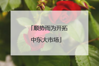 顺势而为开拓中东大市场