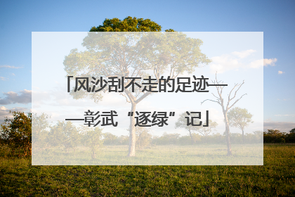 风沙刮不走的足迹——彰武“逐绿”记