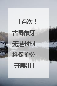 首次！古蜀象牙无灌封材料保护公开展出