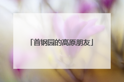 首钢园的高原朋友