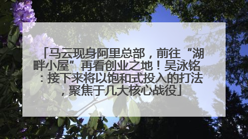 马云现身阿里总部，前往“湖畔小屋”再看创业之地！吴泳铭：接下来将以饱和式投入的打法，聚焦于几大核心战役