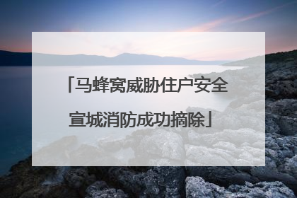 马蜂窝威胁住户安全 宣城消防成功摘除