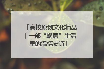 高校原创文化精品｜一部“蜗居”生活里的温情史诗