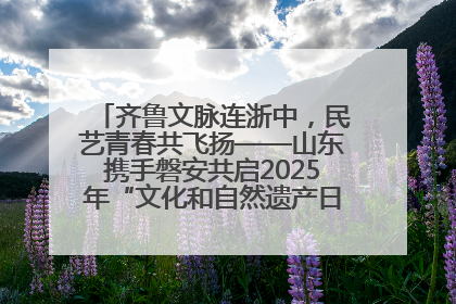 齐鲁文脉连浙中，民艺青春共飞扬——山东携手磐安共启2025年“文化和自然遗产日”系列活动
