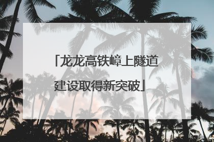 龙龙高铁嶂上隧道建设取得新突破