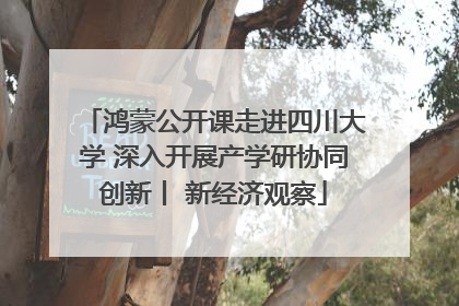 鸿蒙公开课走进四川大学 深入开展产学研协同创新丨 新经济观察