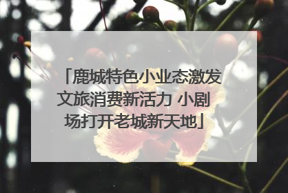 鹿城特色小业态激发文旅消费新活力 小剧场打开老城新天地