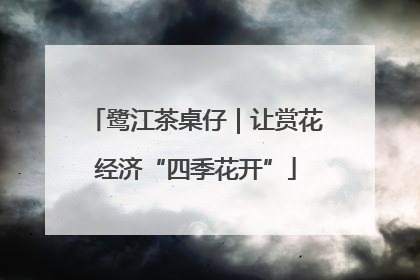 鹭江茶桌仔｜让赏花经济“四季花开”