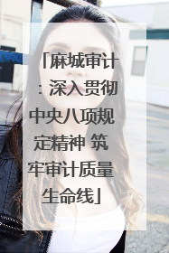 麻城审计：深入贯彻中央八项规定精神 筑牢审计质量生命线