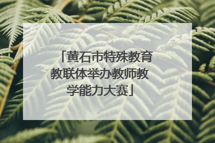黄石市特殊教育教联体举办教师教学能力大赛