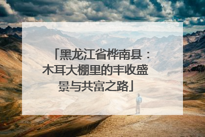 黑龙江省桦南县：木耳大棚里的丰收盛景与共富之路