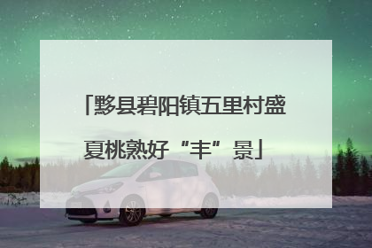黟县碧阳镇五里村盛夏桃熟好“丰”景